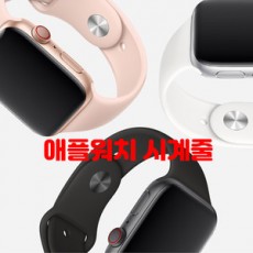 애플워치 실리콘밴드 시계줄 [42mm/44mm]